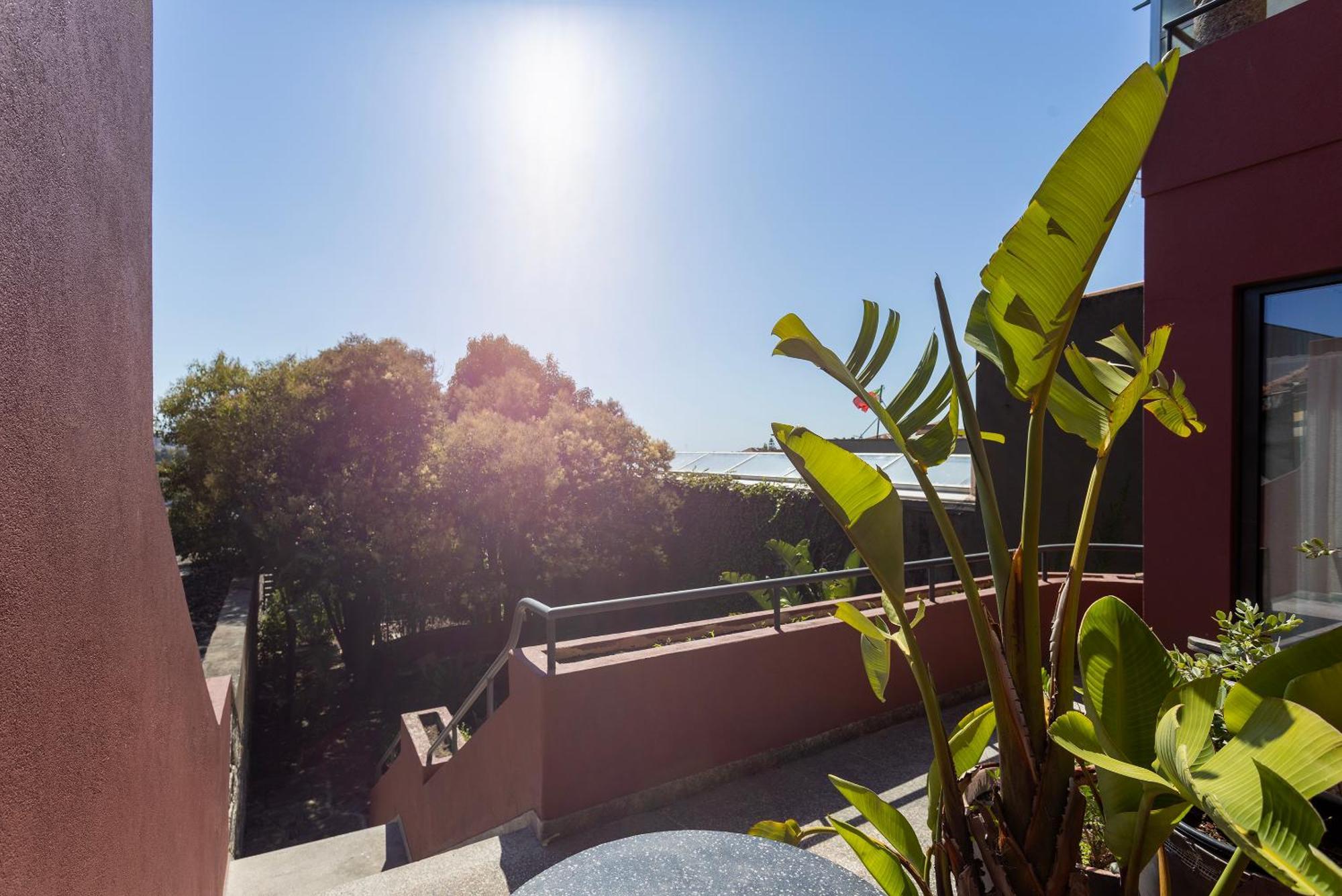 Liiiving In Porto - Casa Duque Apartments Exterior foto